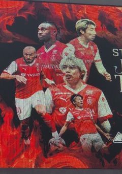 スタッドランスのインスタグラム