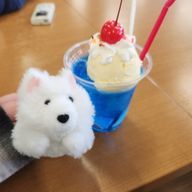 斎藤悠衣奈@元コロとロナ⚽️🐱👨さんのアイコン画像