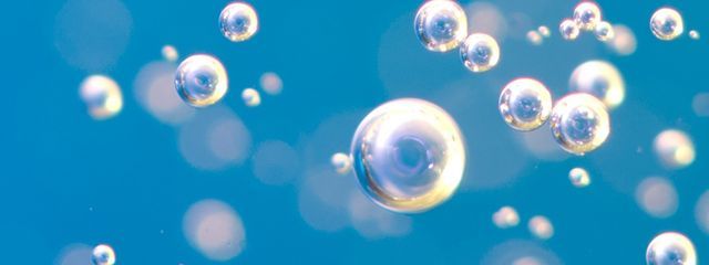 Reyさんの壁紙画像