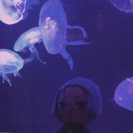 🍁わか🐢さんのアイコン画像