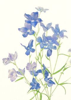 【 1000年分の愛を君に 】