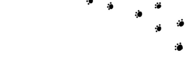 rukoさんの壁紙画像