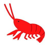 ひなたぼっこさんのアイコン画像