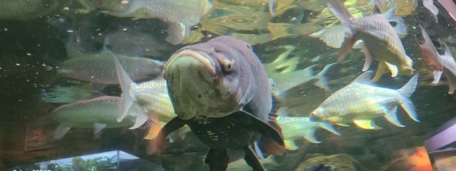 りぃさんの壁紙画像