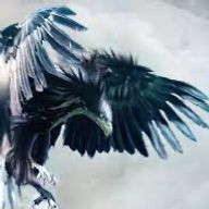 大鷲@セラズクさんのアイコン画像