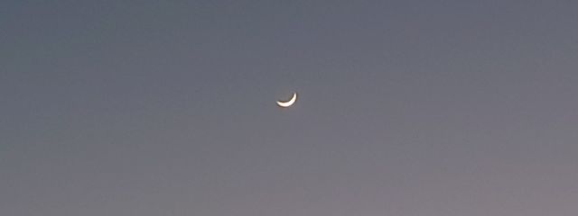 リュナさんの壁紙画像