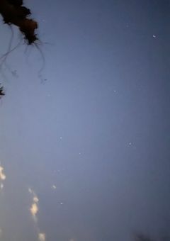 地味子を演じる私はユースです