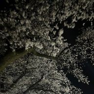 amnさんのアイコン画像