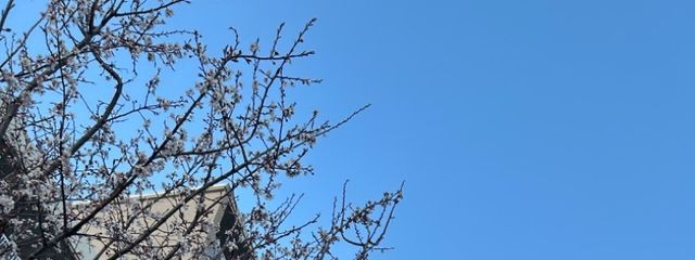 ラズさんさんの壁紙画像