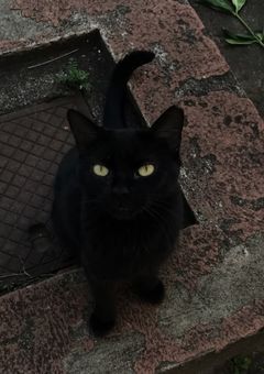 写真館　。