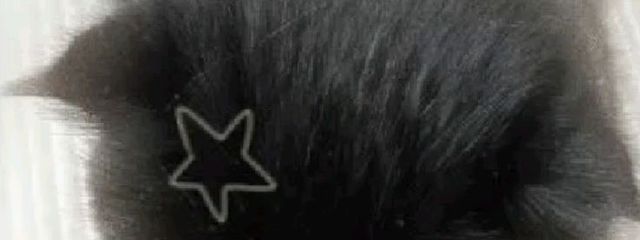 松さんの壁紙画像