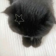 松さんのアイコン画像