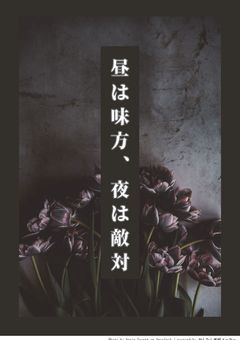 昼は味方、夜は敵対