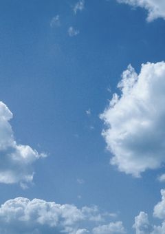 今日好きになりました 。