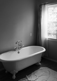 手入れの悪いかれ