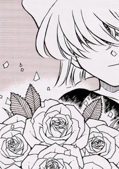 ##＿＿  天才協力者