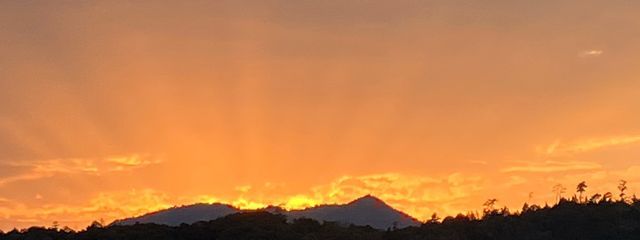 ログアウトさんの壁紙画像