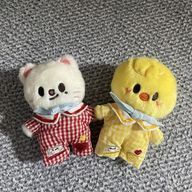 𝓡𝓲𝓷𝓴𝓪🥟🐤さんのアイコン画像