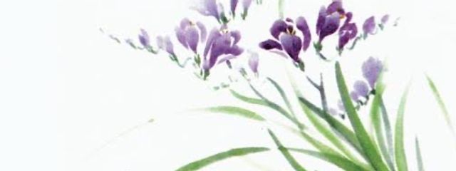 1組に愛された女さんの壁紙画像