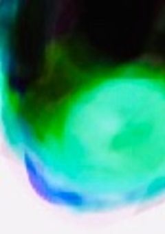  悪 役 じ ゃ な い 悪 役 令 嬢 