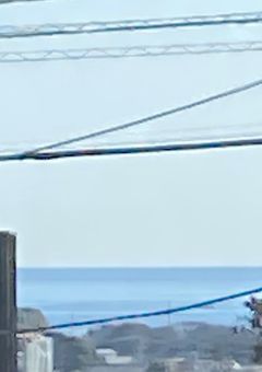 甘音。と のあと うま以外見ないで