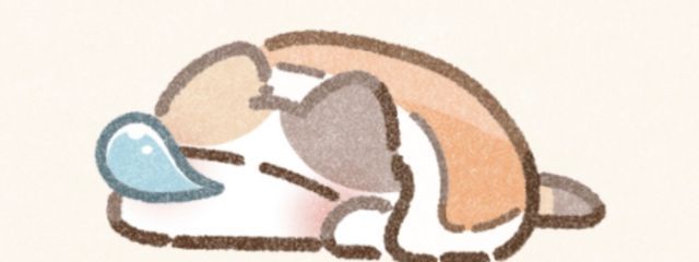 みぃさんの壁紙画像