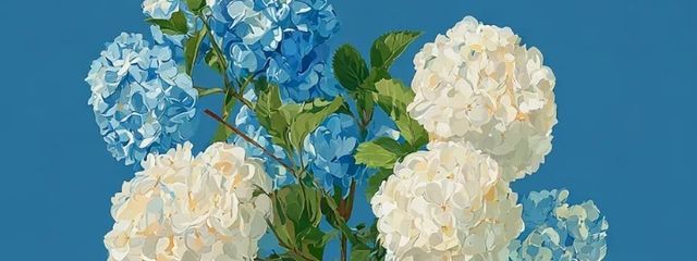 黎明さんの壁紙画像