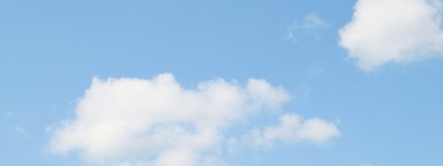 一般ぴーぽーさんの壁紙画像