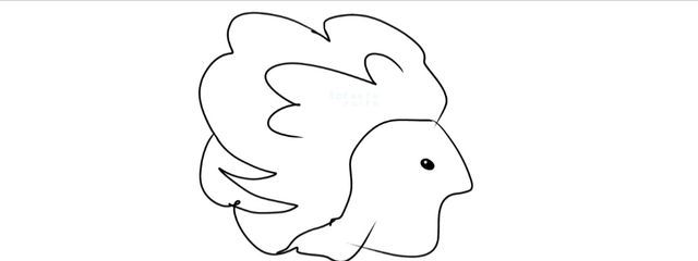 空音 惟斗さんの壁紙画像