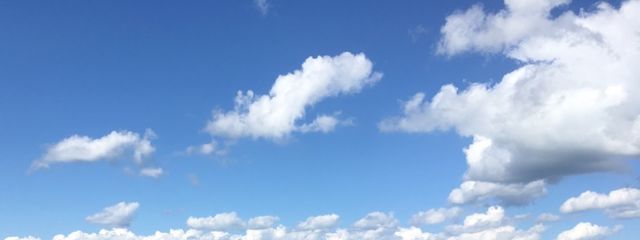 水猫さんの壁紙画像