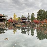 めのうさんのアイコン画像