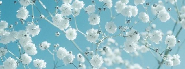 TUMIKIさんの壁紙画像