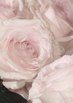 ♡