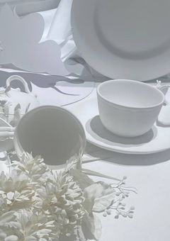 暖夏虹精神病棟