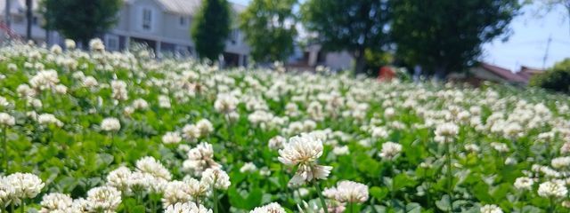 Maron,R1010 さんの壁紙画像