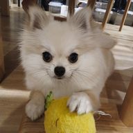 Maron,R1010 さんのアイコン画像