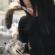 Luluさんのアイコン画像