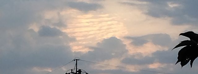 ぴ～なっつ🥜🌸🐤@ピッカピカの一年生さんの壁紙画像