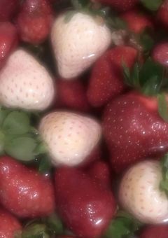 ♪ 가운の練習生日記 ♪