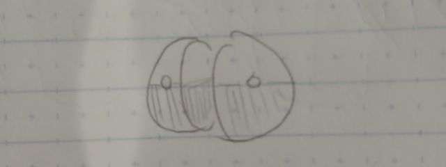 あけふさんの壁紙画像