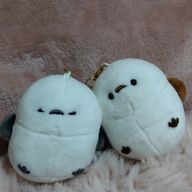 clioneさんのアイコン画像