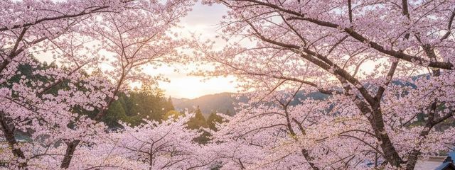 紅音さんの壁紙画像