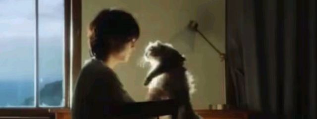 yuiさんの壁紙画像