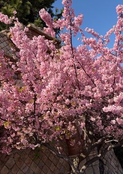 プリ小説初心者の推し語り部屋〜