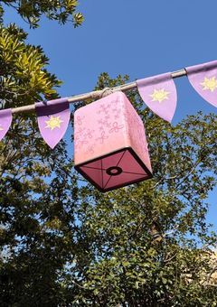 実写部屋⤴︎⤴︎