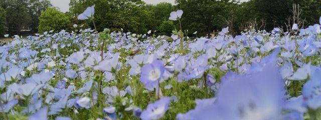 m。さんの壁紙画像