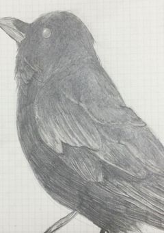 * illust ration .