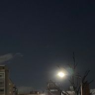 yamase さんのアイコン画像