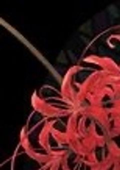 こんなにバズることってあるんですか .ᐣ