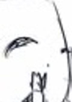 𝐒𝐓𝐏𝐑 ノ 新メンバー 彡 ♪